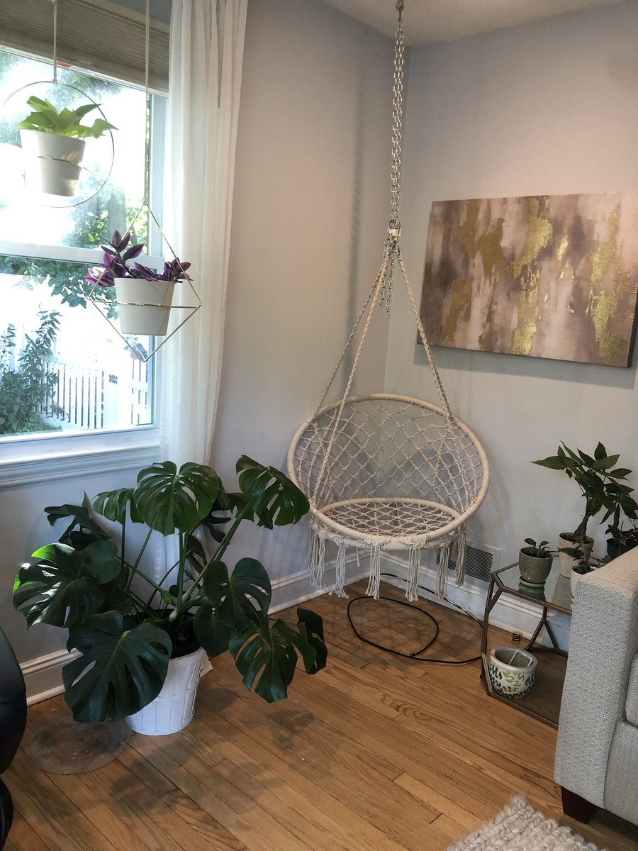 speechwsteph's tweet photo. Finished my peaceful plant corner for my berfday 🥰🧘‍♀️ https://t.co/4gdEA6Ywk1