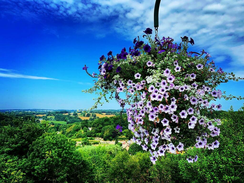 Madsound's tweet photo. Top of the hill in #domfront @domfront61 #domfrontenpoiraie #domfront61 #domfrontais #domfrontcitémédiévale #bocage #normandie #normandietourisme https://t.co/FTj1HCZ7hu https://t.co/aIp8SvkrTn