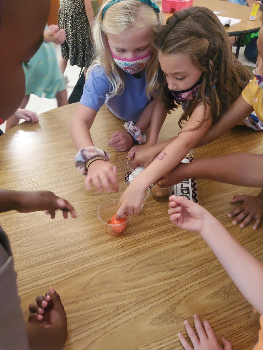 MPEBorders's tweet photo. First grade scientists conducted their own egg experiment to investigate which drinks are bad for your teeth! #firstgrade #dentalhealth  @MPE_Mustangs https://t.co/NDxI8O2311