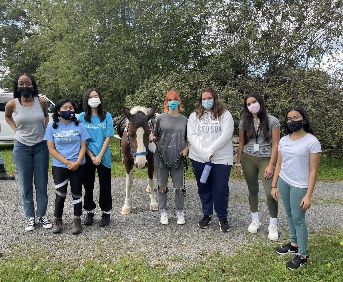 WestoverRasin's tweet photo. #WestoverCommunityService Our Service Learning team spent this afternoon training at Little Britches Therapeutic Riding!🐴❤️🐴 We are ready to volunteer again! https://t.co/DMNF8hCy7y