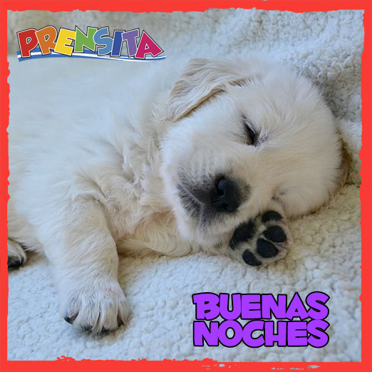 Prensita on Twitter: Prensita on Twitter: