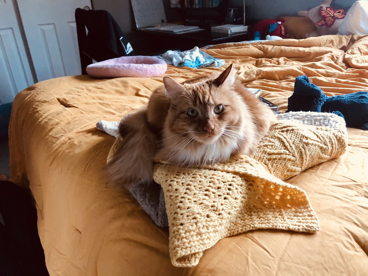 eedee_dear's tweet image. momney’s favo rit color? me.