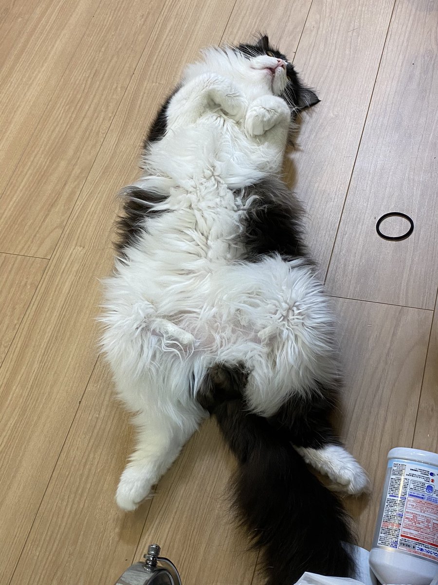 おはようございます