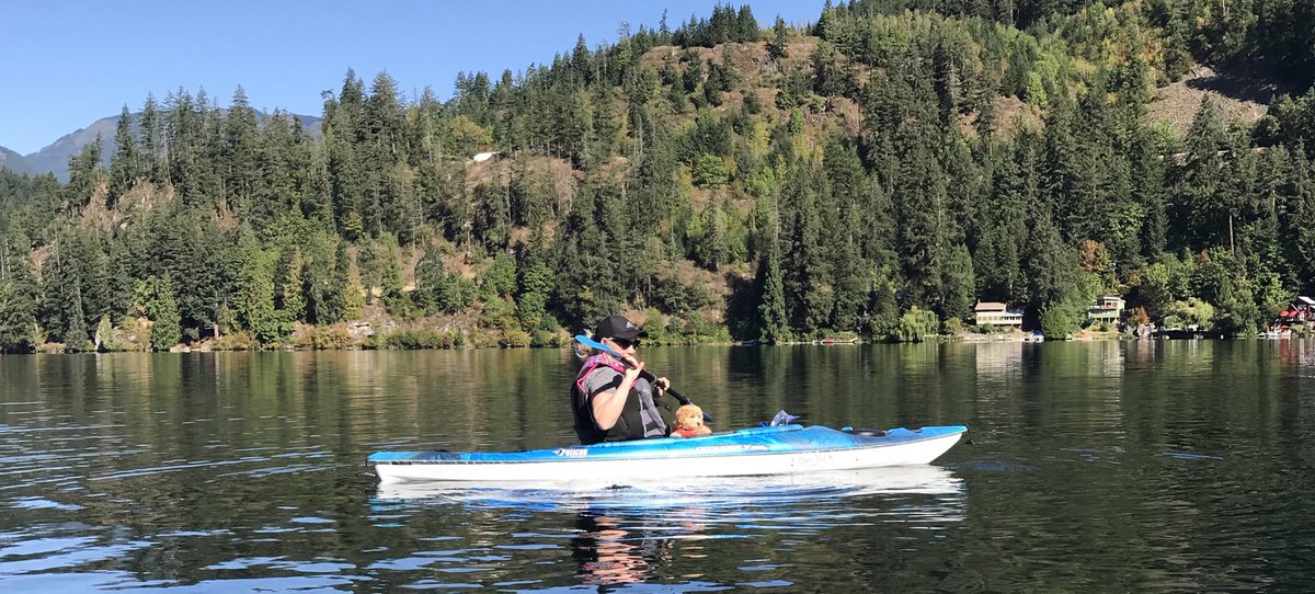 Sandra Ball tweet media