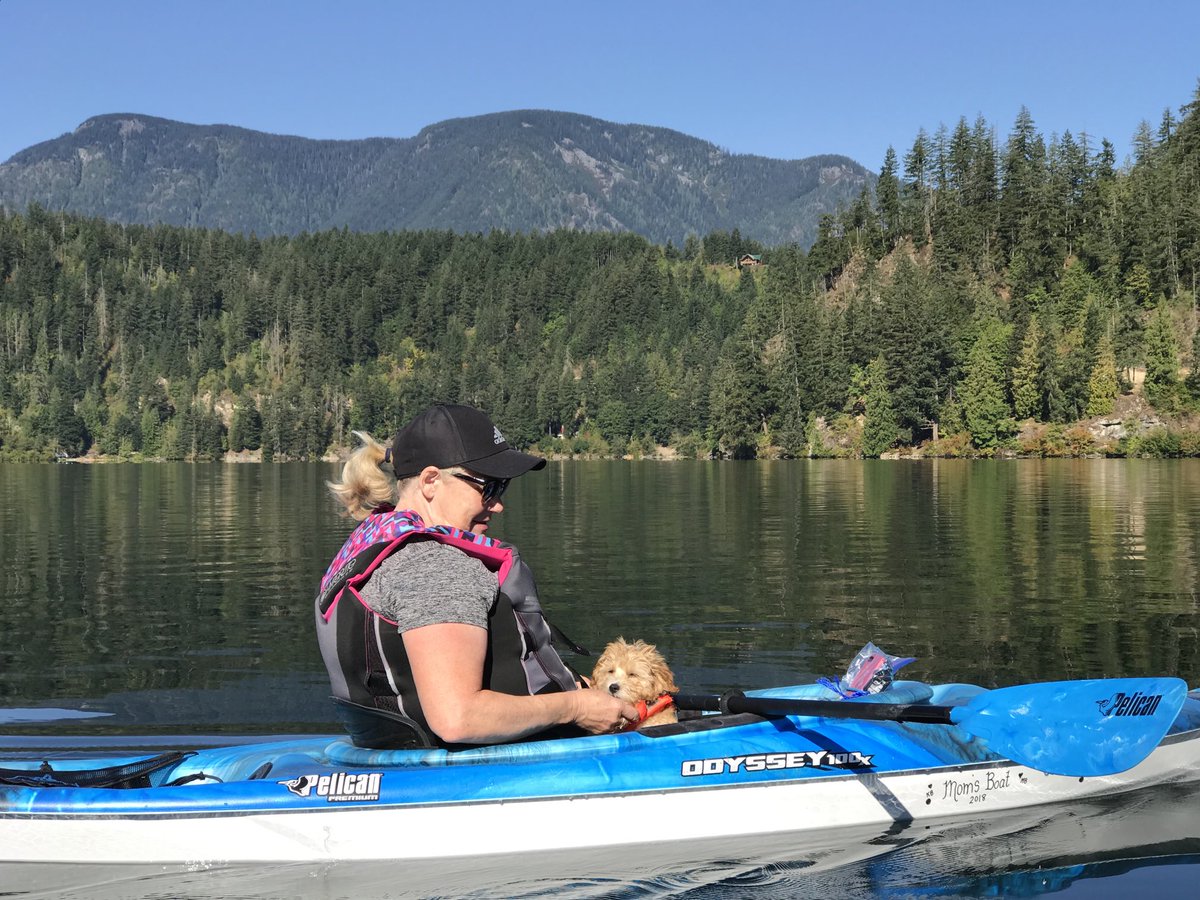 Sandra Ball tweet media