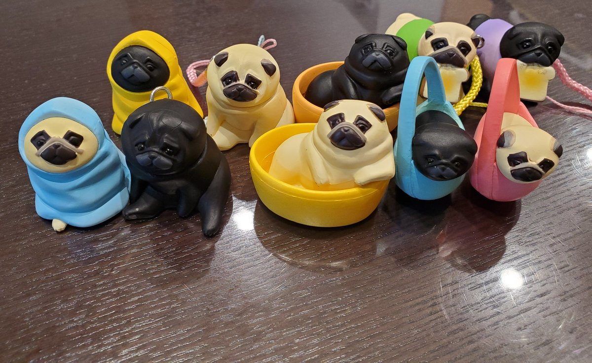 パグ画像あかうんと on X: パグ画像あかうんと on X: