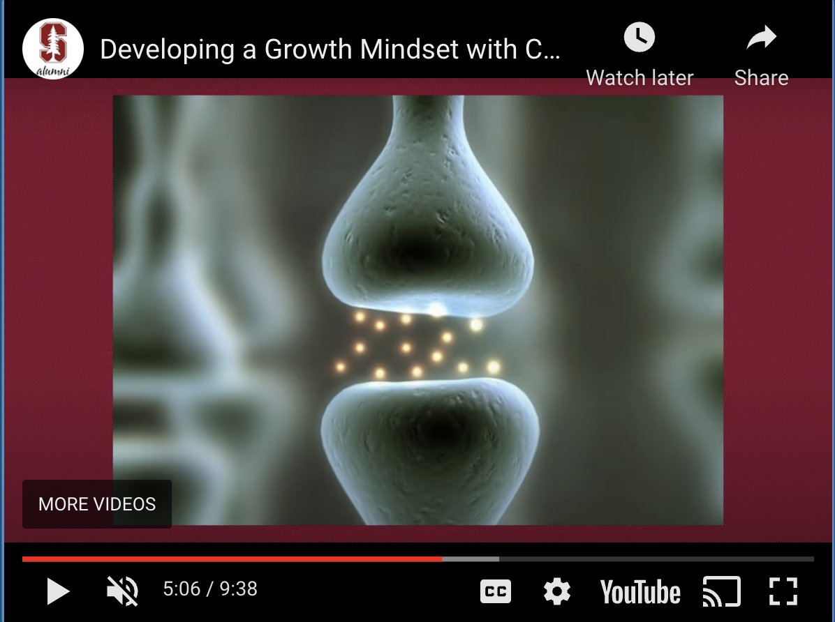 PriyaPatelMa's tweet image. First week of school is already over! Ss spent time learning about the neurobiology of the #GrowthMindset, doing a syllabus scavenger hunt to understand the topics in #APBiology, and setting expectations/norms. @alexthe5cience @MindsetWorks #WeAreChappaqua