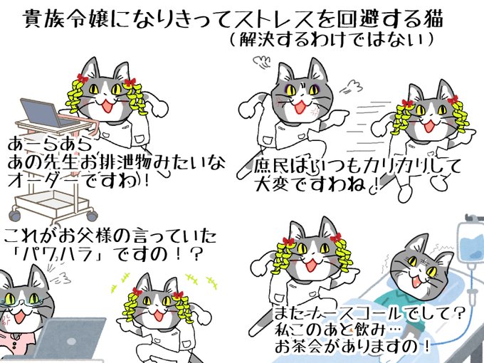 #現場猫 #看護師
意外にいける。 