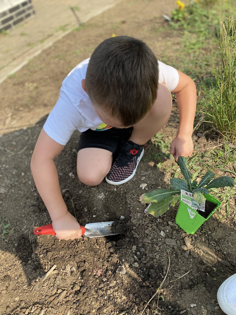 NatalieLine's tweet photo. Had a blast in our Kinder-Garden this week 🌼🪴 https://t.co/tT98a7CL8d