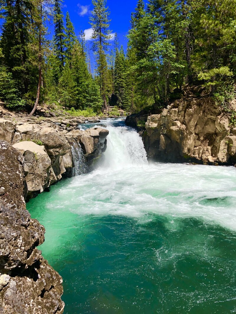 Outventure of the Week: Hiking the McCloud River Falls Trail, Shasta-Trinity National Forest, CA

#hiking #hikingtrails #hikingadventures #beautifuldestinations #outdooradventures #McCloudRiverFalls #ShastaTrinityNationalForest #CA #GreyOtterOutventures

greyotteroutventures.com/mccloud-river-…