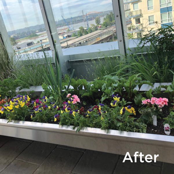RoyalColumbian's tweet photo. Gardening is an innovative new form of therapy at Royal Columbian.

The Mental Health and Substance Use Wellness Centre staff have been weaving therapeutic themes through #gardening, helping patients identify activities that can improve mood &amp; reduce stress/anxiety. https://t.co/ki0MR1VM6z