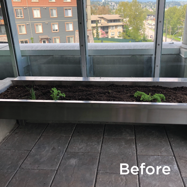 RoyalColumbian's tweet photo. Gardening is an innovative new form of therapy at Royal Columbian.

The Mental Health and Substance Use Wellness Centre staff have been weaving therapeutic themes through #gardening, helping patients identify activities that can improve mood &amp; reduce stress/anxiety. https://t.co/ki0MR1VM6z