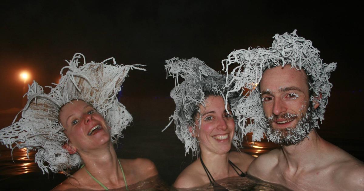 Freddy Neaves tweet media