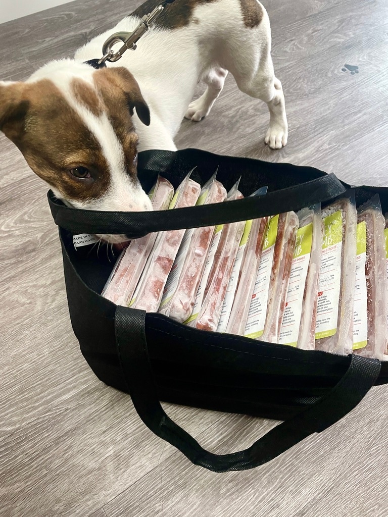 caliraw's tweet photo. Local? We offer pickup Monday thru Friday in #newportbeach 🐾 come see us!!!
⁠⁠
We make raw feeding easy @CaliRaw⁠ https://t.co/5LLfWhy49c
