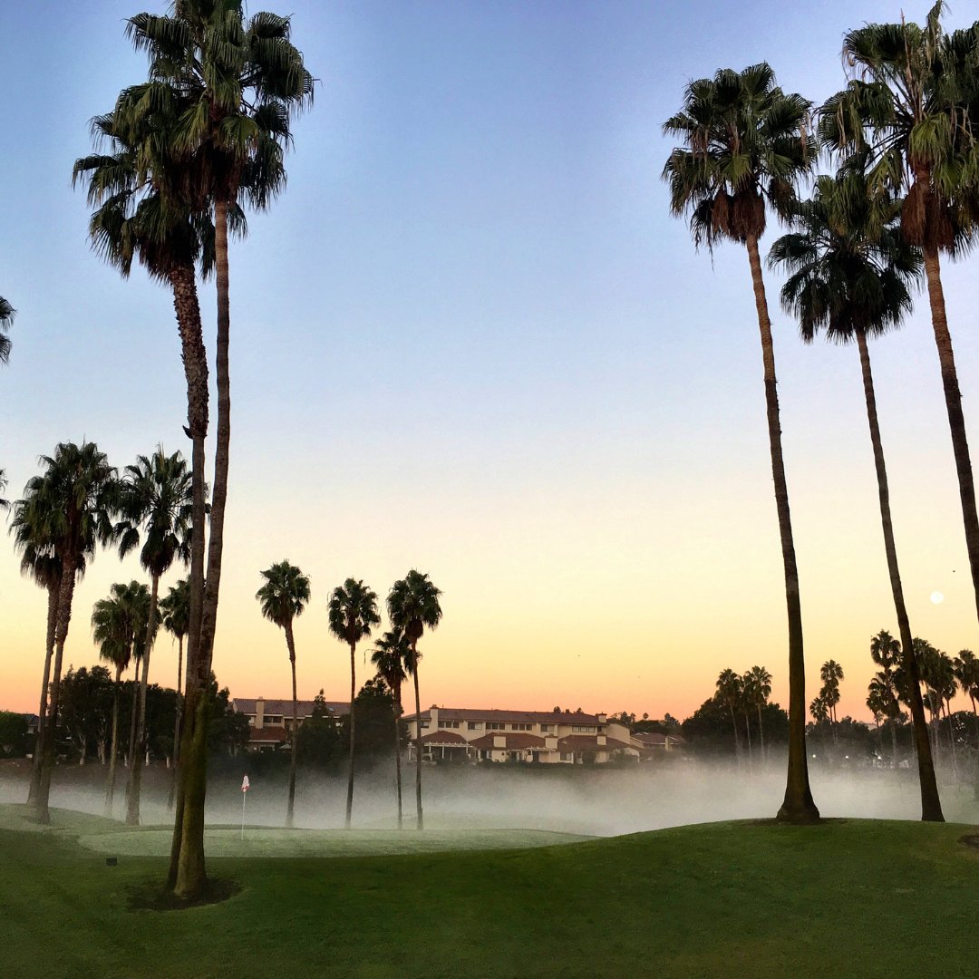 Wishing you happy &amp; restful vibes this Labor Day weekend😌  ✨

#westdrift #westdriftmanhattanbeach #laborday