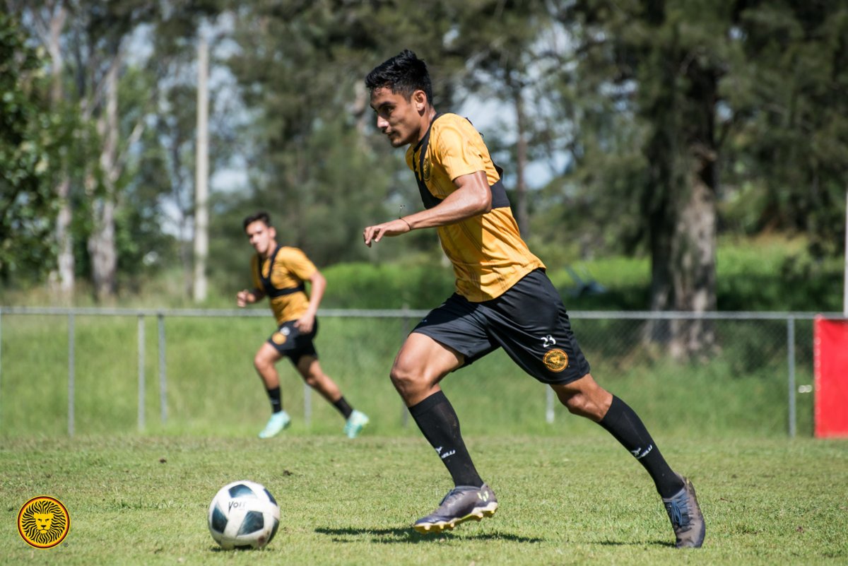 Jóvenes de la casa del león. 🖤🦁

¡La #CanteraUdeG metiéndole con todo!💪

#ElFútbolEsDeLaGente 🤝🇧🇪