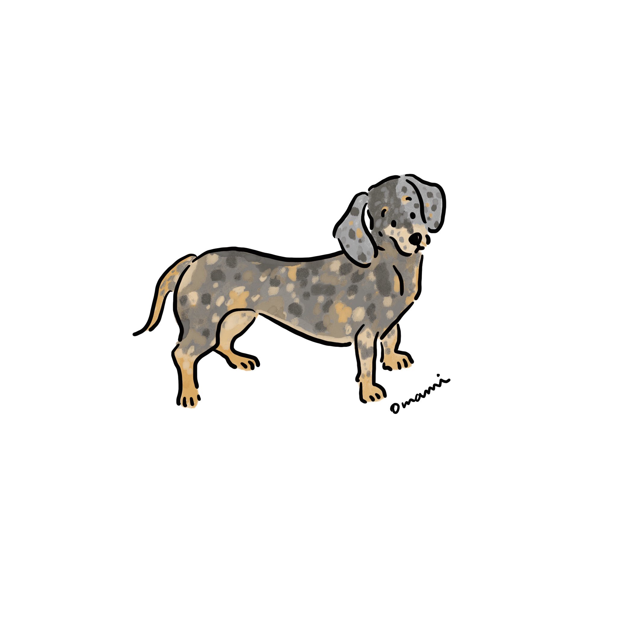 Omami イラストレーター Omami 9 Twitter