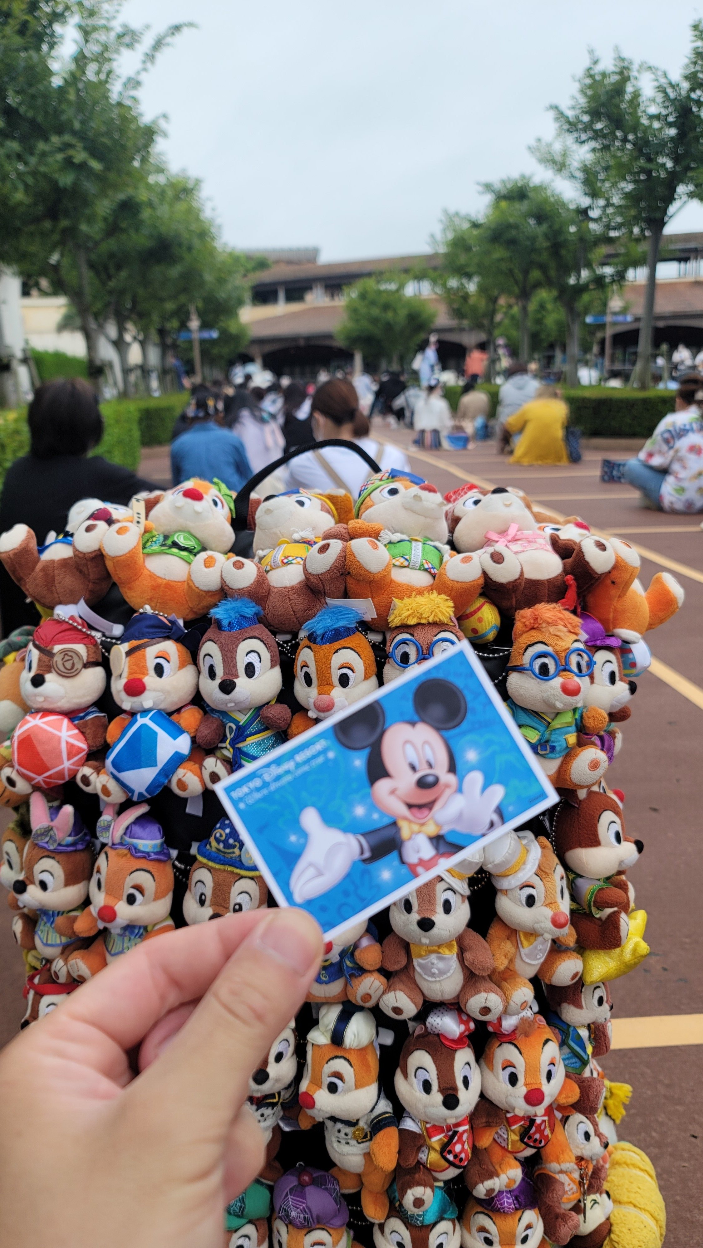 開園待ち Twitter Search Twitter