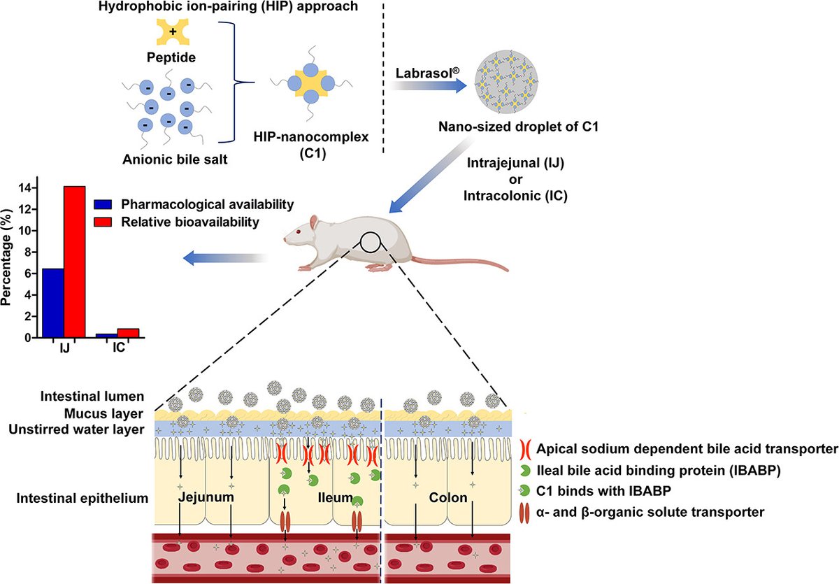 J Controlled Release (@jcrneditors) on Twitter photo Bile acid transporter-mediated oral absorption of insulin via hydrophobic ion-pairing approach.
| Sangkil Lee <a href="/KeimyungUniv/">Keimyung University</a> | <a href="/KoreaCRS/">CRS Korea Chapter</a>
#bileacidtransporter #insulindelivery #ionpairing
doi.org/10.1016/j.jcon… Bile acid transporter-mediated oral absorption of insulin via hydrophobic ion-pairing approach.
| Sangkil Lee <a href="/KeimyungUniv/">Keimyung University</a> | <a href="/KoreaCRS/">CRS Korea Chapter</a>
#bileacidtransporter #insulindelivery #ionpairing
doi.org/10.1016/j.jcon…