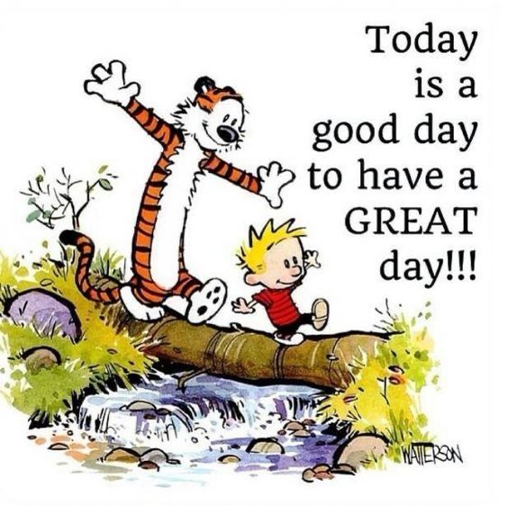 Calvinn_Hobbes's tweet photo. #TGIF What are your fun weekend plans?#CalvinandHobbes https://t.co/ZkMryI8cO0