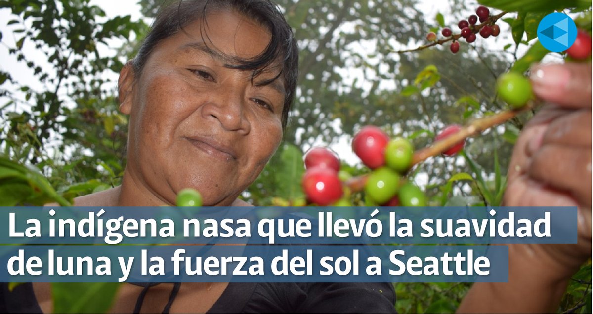#Historias | Descendiente de la Cacica Gaitana, la mujer que lideró la primera insurrección indígena en Colombia durante la época de la colonia, María Cecilia Valencia es indígena del pueblo Nasa y lleva en la sangre el tesón de su legado.
➡️bit.ly/2VEcfcs