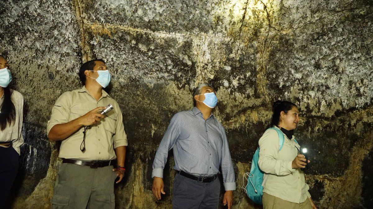 parquegalapagos's tweet image. #SantaCruz | @DannyRuedaC, director del @parquegalapagos inauguró el sitio de visita Túnel del Alba, en el sector Los Guayabillos, que además de brindar nuevas opciones de visita, brinda oportunidades de emprendimientos de servicios turísticos.