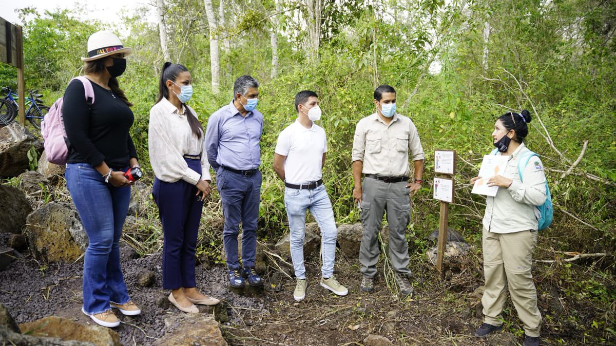 parquegalapagos's tweet image. #SantaCruz | @DannyRuedaC, director del @parquegalapagos inauguró el sitio de visita Túnel del Alba, en el sector Los Guayabillos, que además de brindar nuevas opciones de visita, brinda oportunidades de emprendimientos de servicios turísticos.