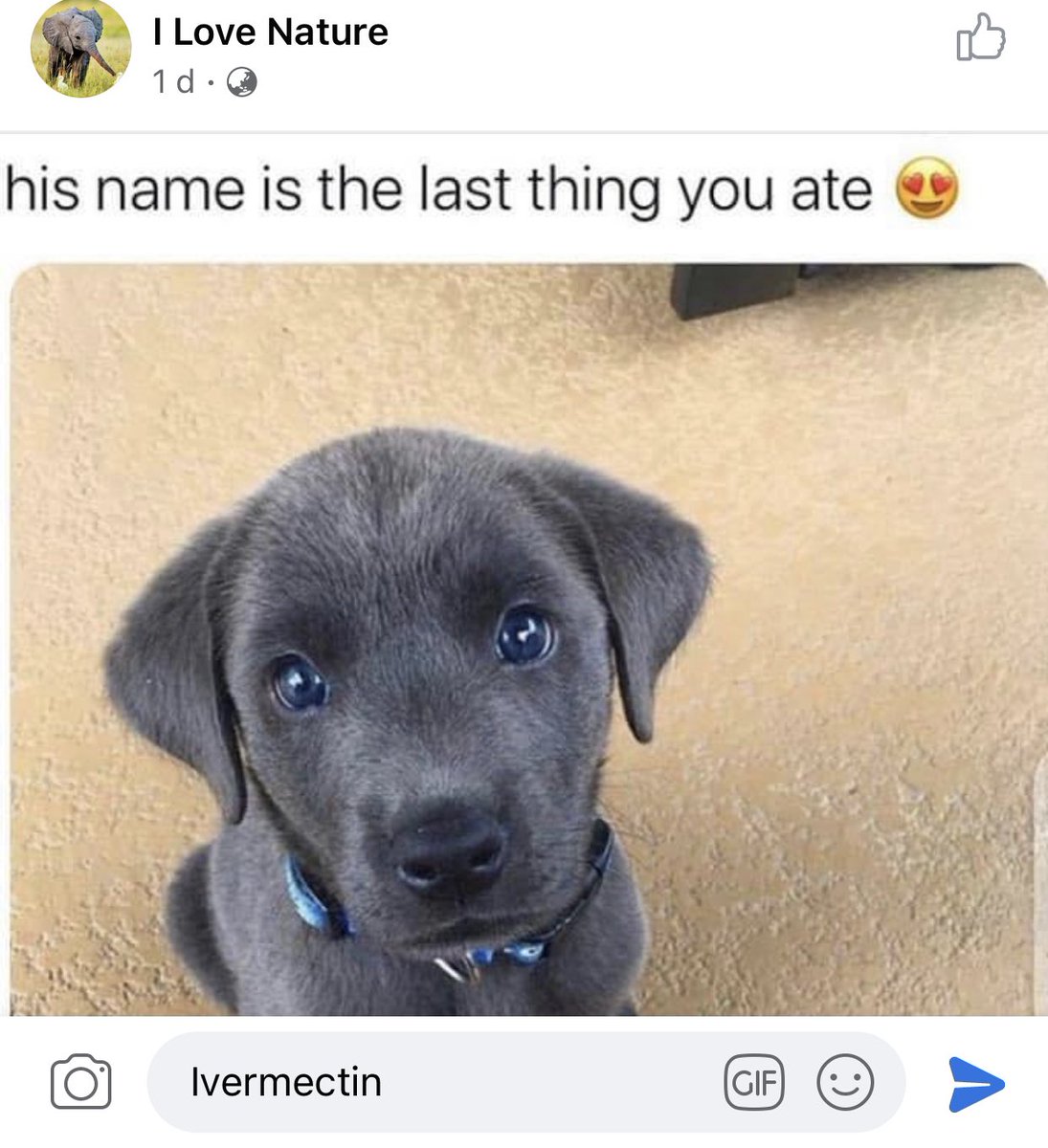 Patrick Lenton tweet media