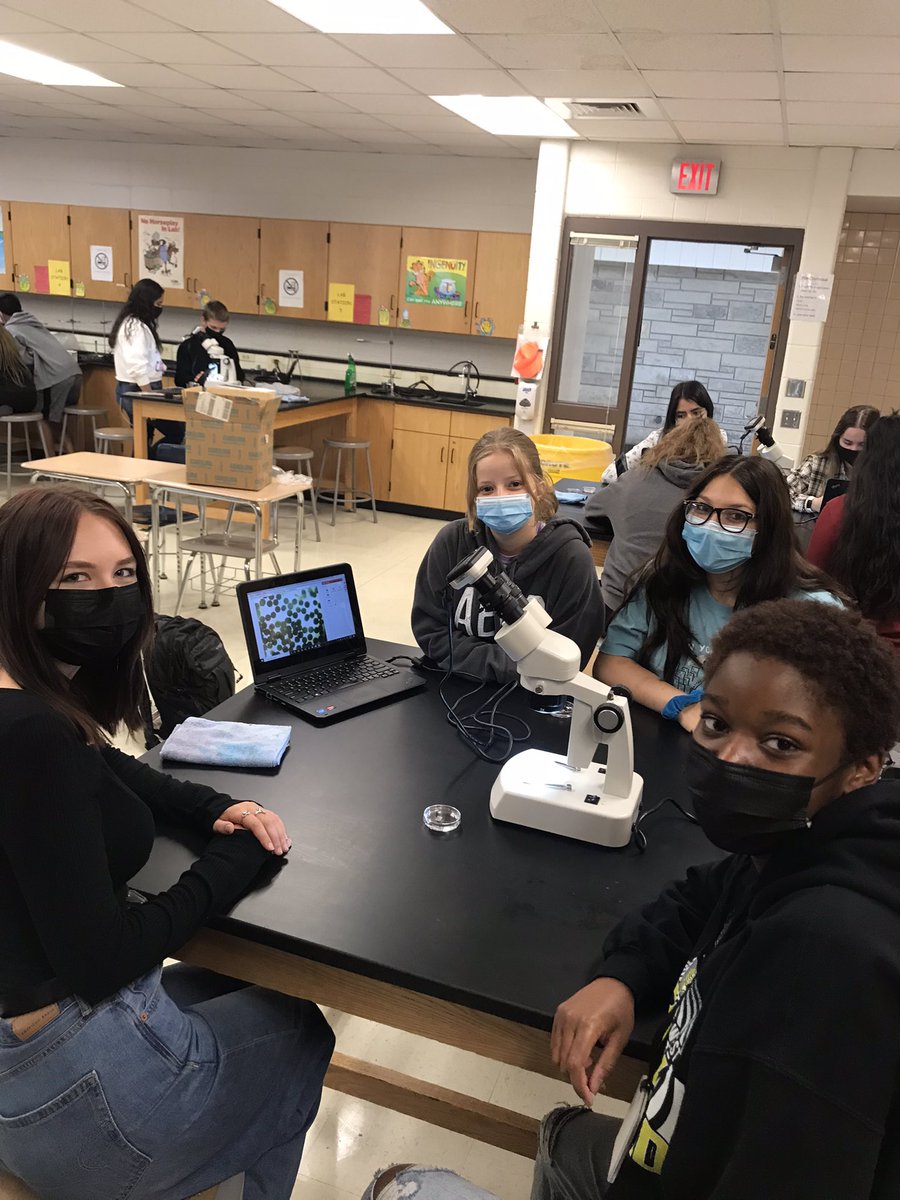 Building strong microscopy skills in AP Bio! Working with stereoscopes and digital cameras to investigate brine shrimp.