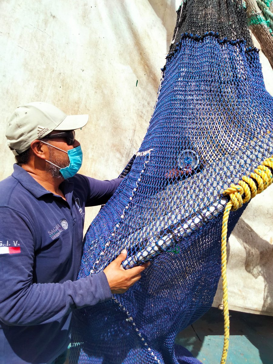 bmarmolejop's tweet image. Revisando #DETs ando