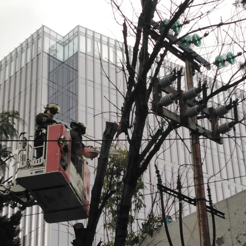 AlcaldiaMHmx's tweet photo. #MHInforma ⚠️ Se reporta el desprendimiento de raíz de un árbol en Av. Río San Joaquín y Poniente 117-A, colonia #Popo. Ya atiende personal de @MHDEProtCivil, @Bomberos_CDMX y @CFEmx. No hay personas lesionadas. https://t.co/vovu3J4eKh