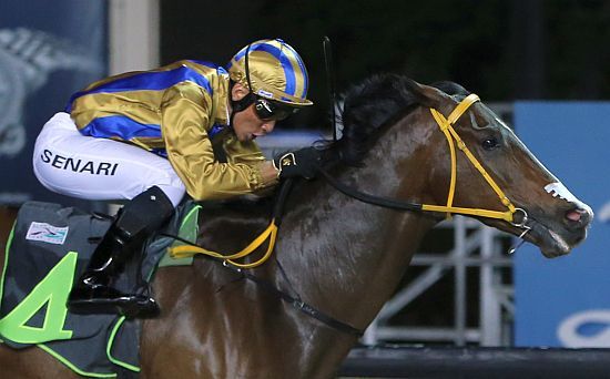 KranjiBroadcast's tweet photo. 𝕂𝕣𝕒𝕟𝕛𝕚 ℕ𝕖𝕨𝕤 🗞️
Noh Senari calls it a day 

All the best to talented rider @nohsenari
Who has announced his retirement from the saddle 👍

#SGRacing #NohSenari 
Full story here 
👇👇👇
https://t.co/1dJHVnvHbz https://t.co/2vruXFp3Vr