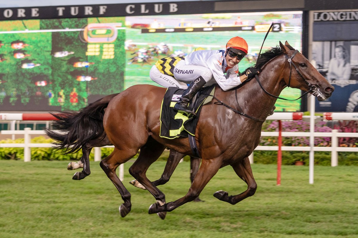 KranjiBroadcast's tweet photo. 𝕂𝕣𝕒𝕟𝕛𝕚 ℕ𝕖𝕨𝕤 🗞️
Noh Senari calls it a day 

All the best to talented rider @nohsenari
Who has announced his retirement from the saddle 👍

#SGRacing #NohSenari 
Full story here 
👇👇👇
https://t.co/1dJHVnvHbz https://t.co/2vruXFp3Vr