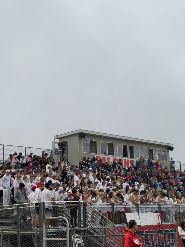 The Falcons Nest!
