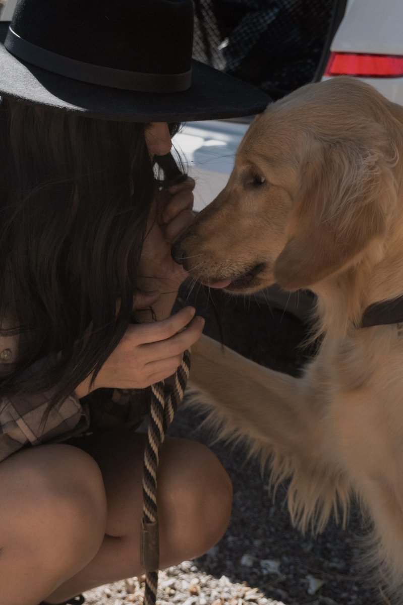 Ashley Moore tweet media