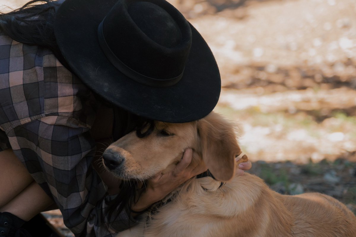 Ashley Moore tweet media