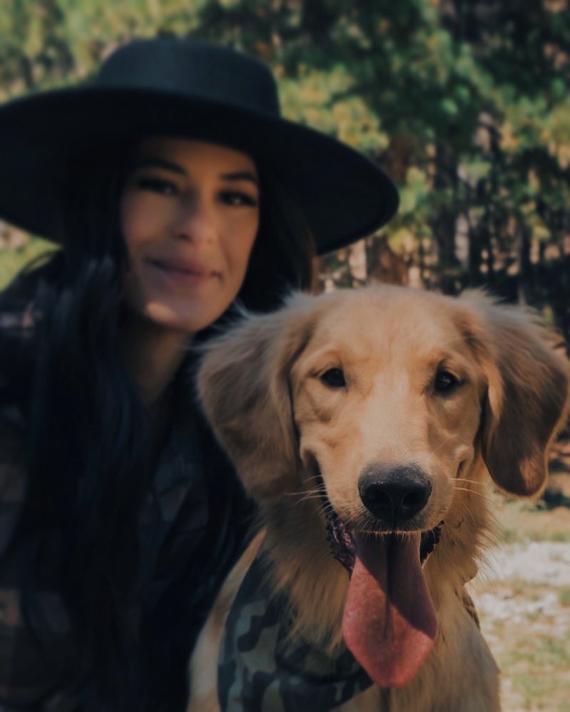 Ashley Moore tweet media