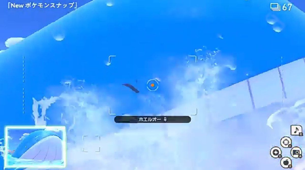 ポケモン情報局 公式 今日は クジラの日 たまくじらポケモンの ホエルコ と うきくじらポケモンの ホエルオー いつも元気いっぱい 画面もいっぱいです ポケモン情報局 公式 今日は クジラの日 たまくじらポケモンの ホエルコ と うきくじらポケモンの ホエルオー いつも元気いっぱい 画面もいっぱいです