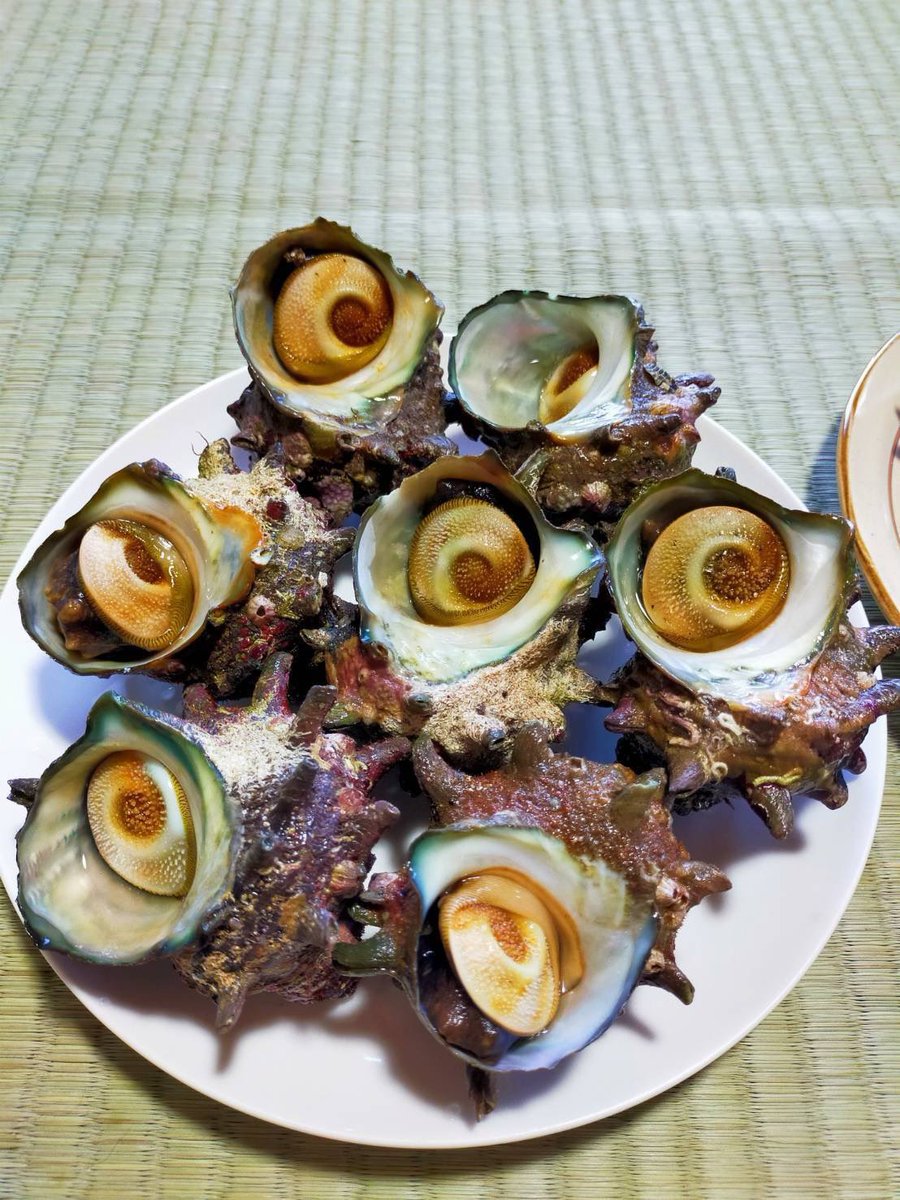 maako521's tweet image. 【島根の永幸丸さんのサザエ】をご紹介。大雨災害で
-サザエアワビが約50キロ流出
-荒天でウニの多くが出荷できず
という被害を受けた中で、貴重なサザエを出品いただいてます。

大きさによって柔らかさおいしさが違って食べ比べが楽しいらしいので、サザエ好きさん、ぜひ！
tabechoku.com/groups/956