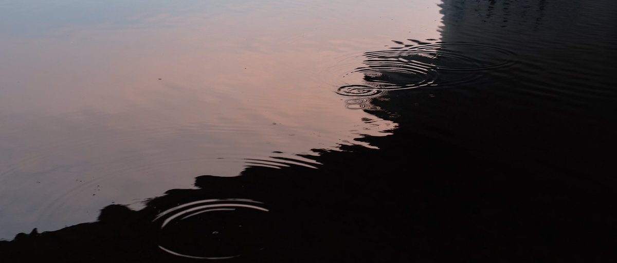 Satography 98 写真 A Twitter シネマティック多摩川 垣節 多摩川 Sigma Sigmafpl Sigma35mmf14art Satography 98 写真 A Twitter シネマティック多摩川 垣節 多摩川 Sigma Sigmafpl Sigma35mmf14art