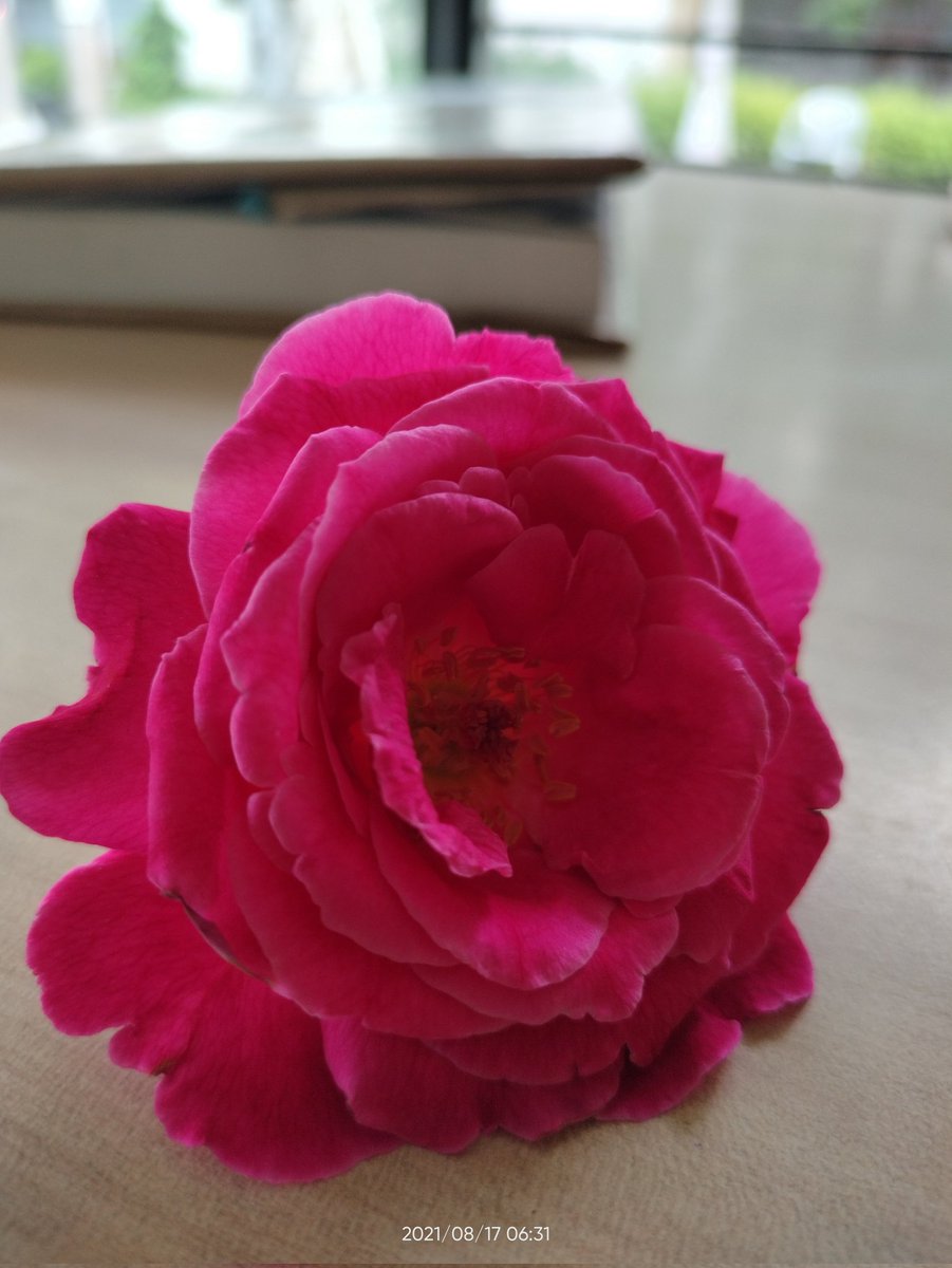 Photography by myself