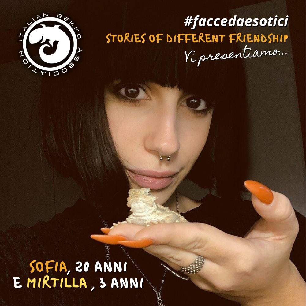 Italian Gekko Association lancia la campagna #faccedaesotici

Condividi anche tu la campagna e se vuoi partecipa inviandoci una foto con nome ed età tua e del tuo animale a: faccedaesotici@italiangekko.net

italiangekko.net/ig/ig-associat…

#reptiles #gecko #animals #animali #exotic
