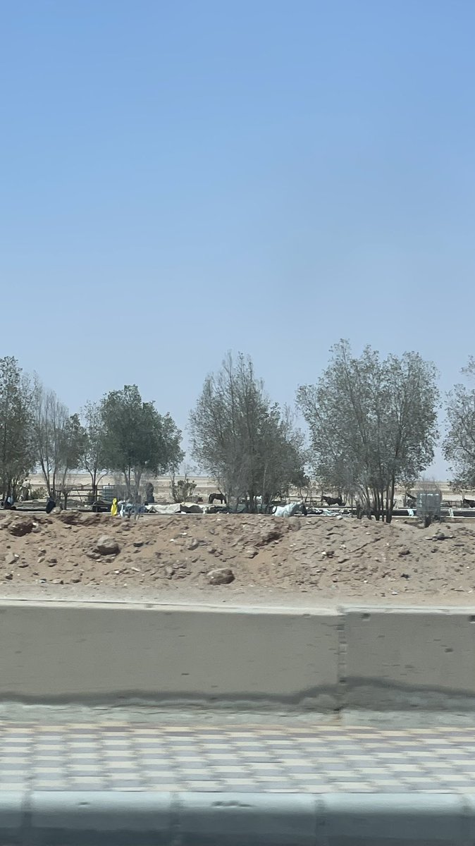huda_du's tweet photo. في طريق الثمامة اتجاه غرب خيول مربطة بعز الحر والشمس في مكان قذر جداً وبعد العصر يتم استخدامها مباشرة او في عربات تفتقد للنظافة لإركاب الاطفال والعوائل والدوران بهم قريب من طريق السيارات ولا اعلم اذا كان عندهم ترخيص .@Amanatalriyadh #التشوه_البصري #الثمامة https://t.co/oRLsjhxOv7