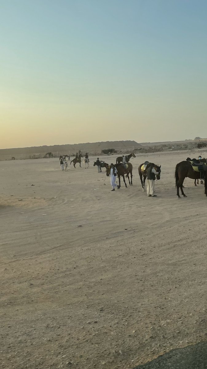 huda_du's tweet photo. في طريق الثمامة اتجاه غرب خيول مربطة بعز الحر والشمس في مكان قذر جداً وبعد العصر يتم استخدامها مباشرة او في عربات تفتقد للنظافة لإركاب الاطفال والعوائل والدوران بهم قريب من طريق السيارات ولا اعلم اذا كان عندهم ترخيص .@Amanatalriyadh #التشوه_البصري #الثمامة https://t.co/oRLsjhxOv7