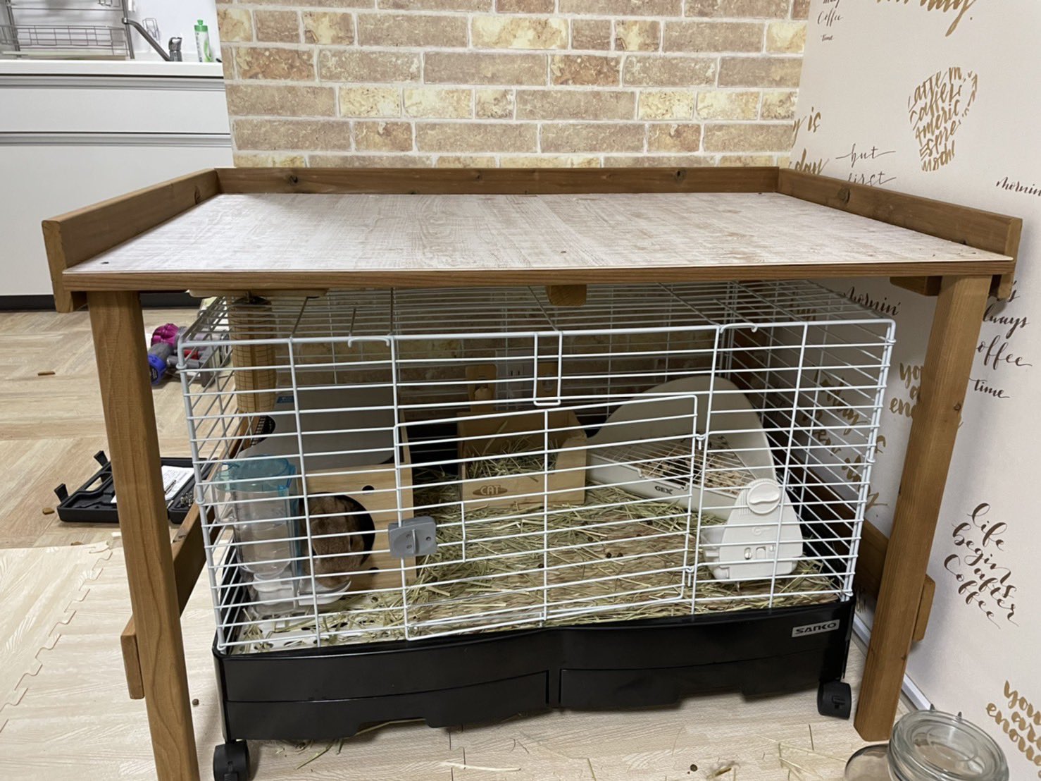 ラテ うさぎ小屋の上の空間をdiyしました ここに物を置ける感じに ウサギ好きと繋がりたい モフモフ ウサギのいる暮らし ウサギ好き ウサ友 T Co 32lcsqtxp9 Twitter