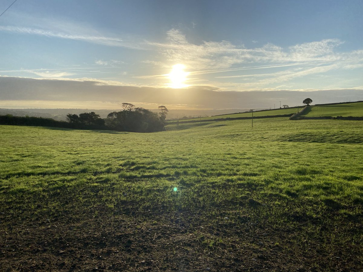 DevonWilds's tweet image. Weekends as a small business owner.
7.30am: Work 👩‍💻Or run 🏃🏽‍♀️ first?
✔️run

It can be hard to work all hours &amp;amp; also be too easy to say “I don’t have time to exercise”. However, there’s never a time that exercise doesn’t leave me feeling energised

#smallbusiness #running