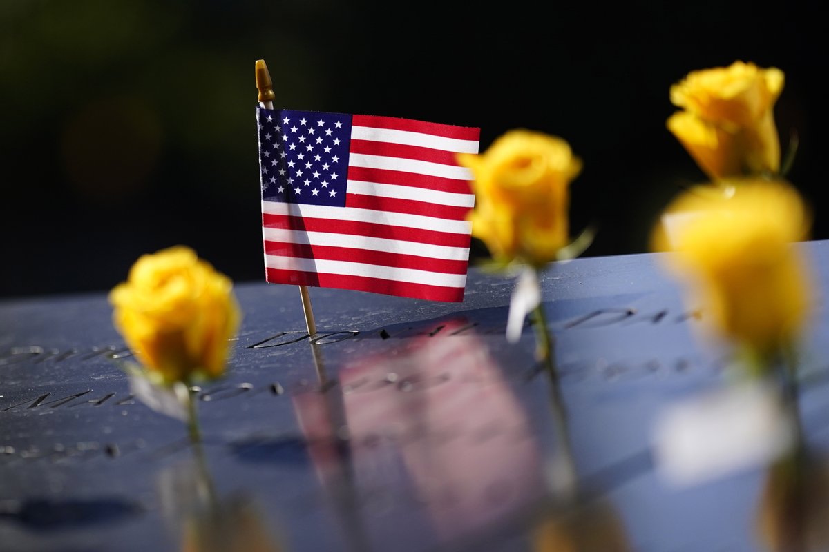 NPO Nieuws tweet media