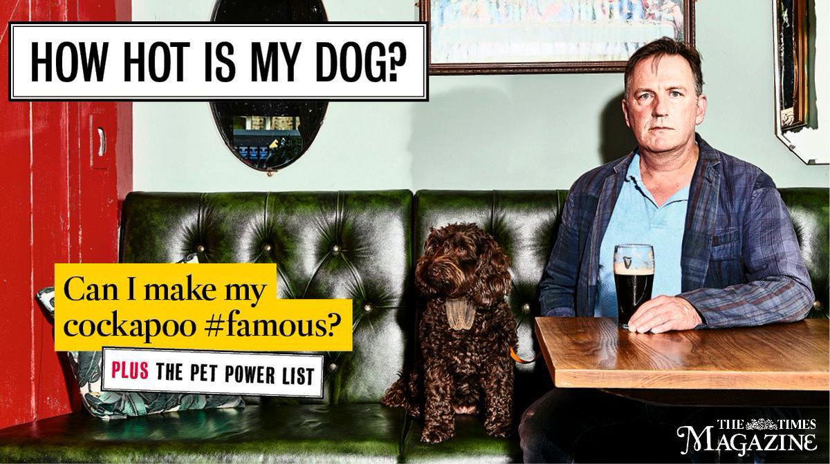 Times Magazine tweet media