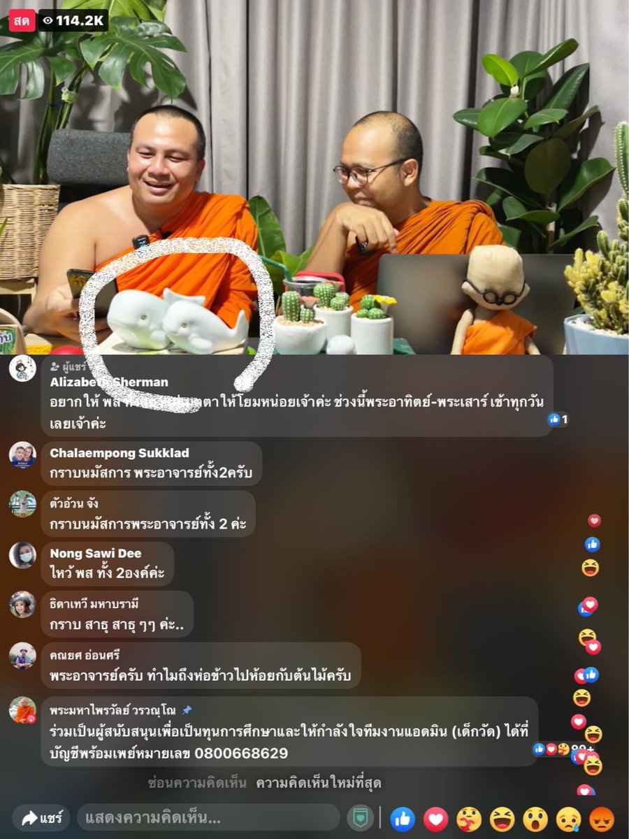 Urinn's tweet image. #พระมหาไพรวัลย์  #พระมหาสมปอง 

ใครอยากเลี้ยงปลาวาฬ  แบบ พส  ทักมาได้เลยค่า
พ่อแม่ แถมลูกชาย ลูกสาว  280ค่ะ