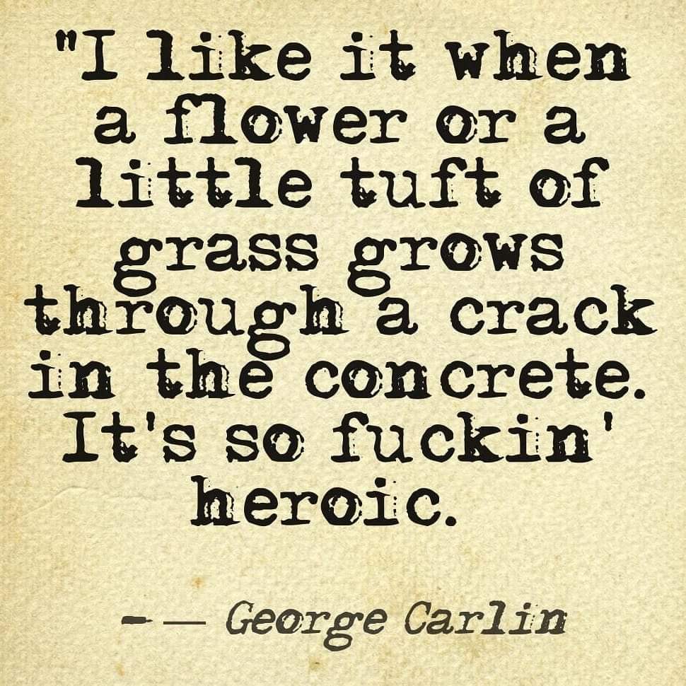 Kadey✨ (@kkadeyj) on Twitter photo 